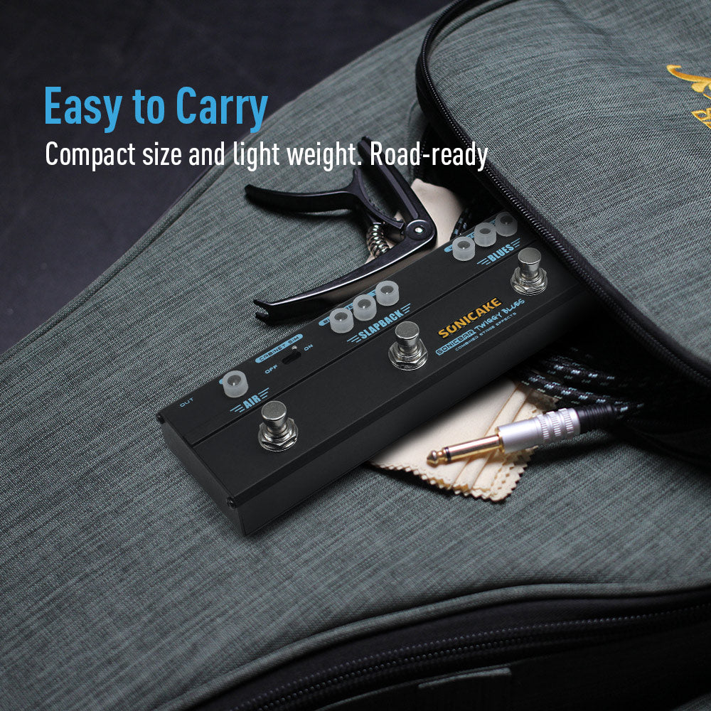 Twiggy Blues - Sonicake