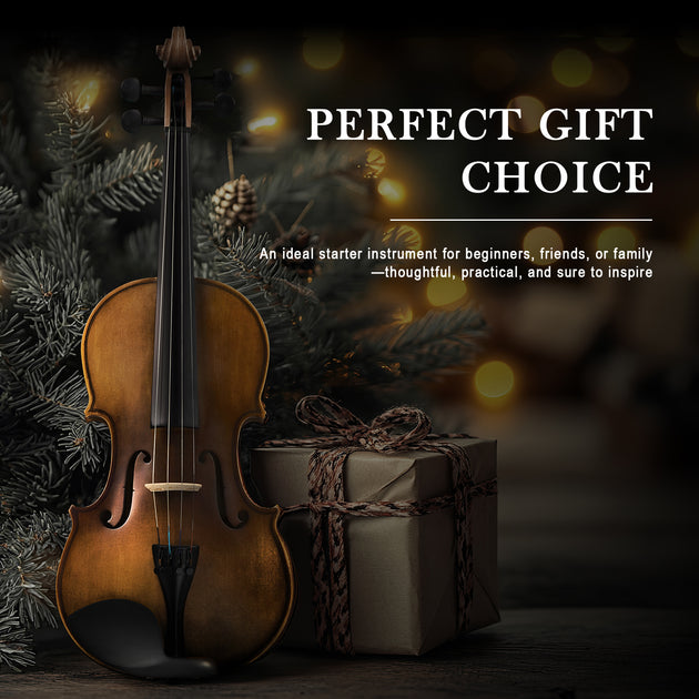 4/4 Violin - Sonicake