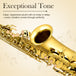 Alto Saxophone E Flat Gold - Sonicake
